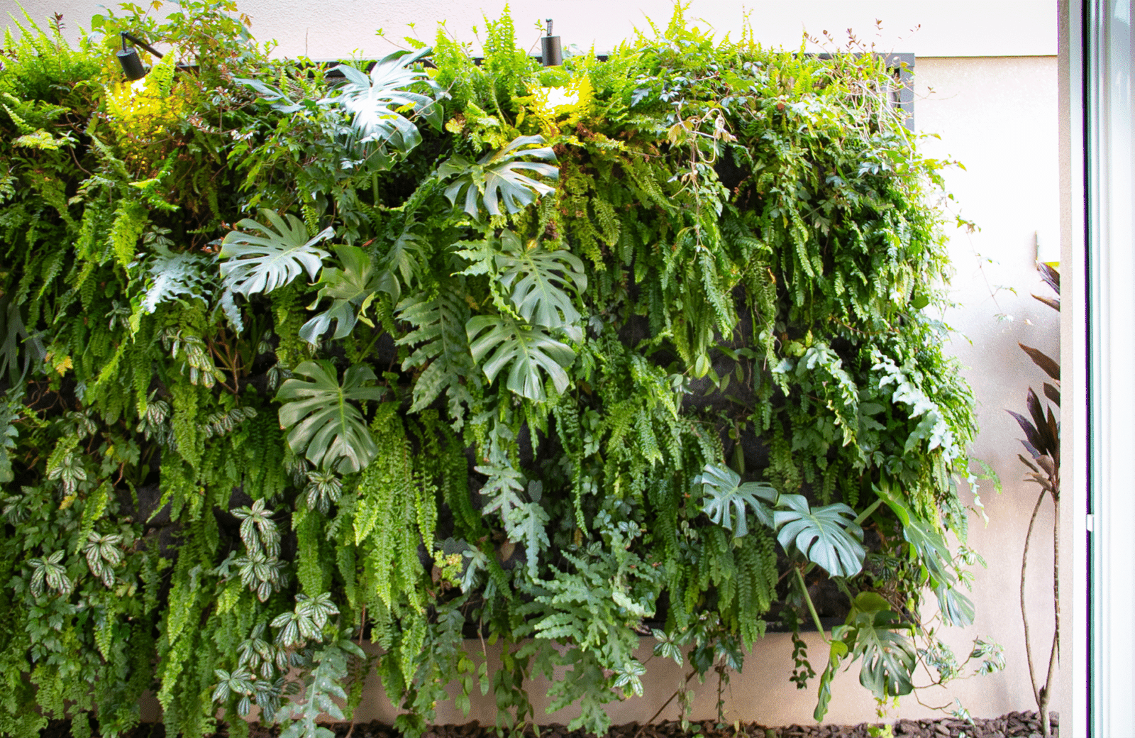 feltgarden patriciamalinipaisagismo