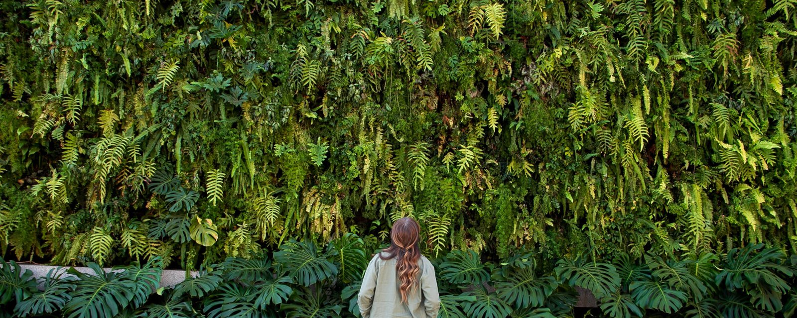 patricia malini em frente jardim vertical feltgarden