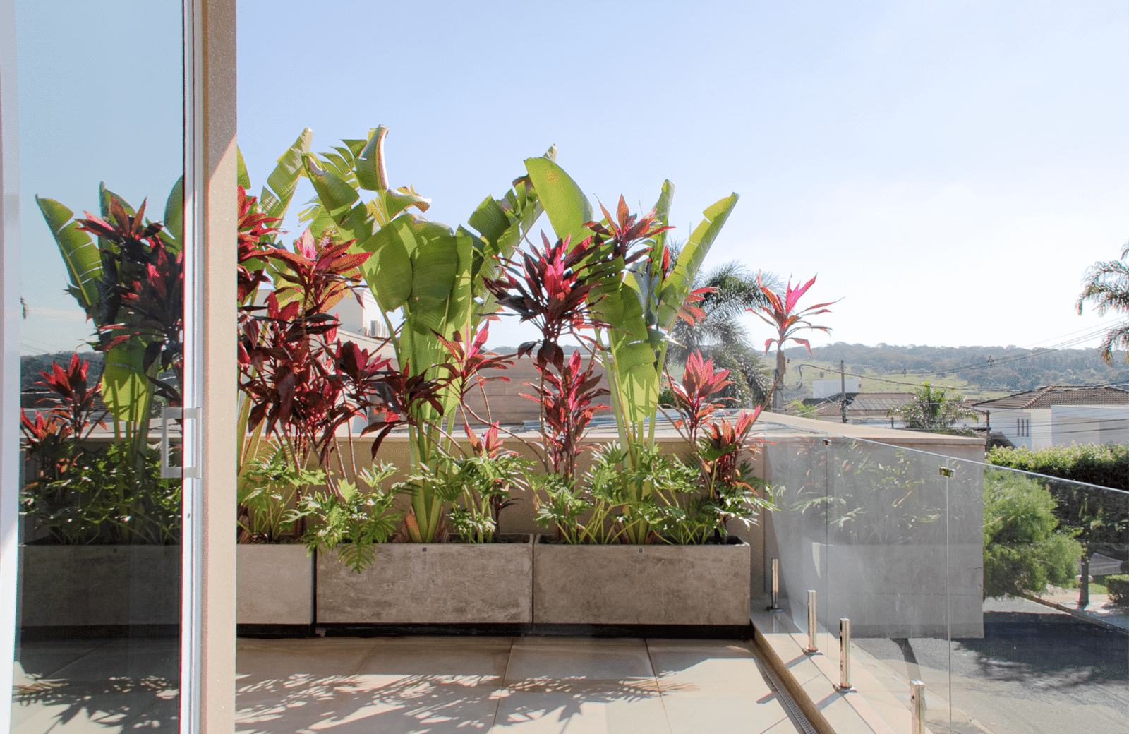 vasoleve patriciamalinipaisagismo