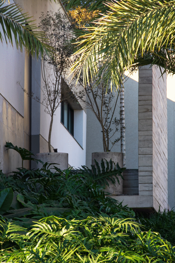 patricia malini paisagista 0000 img 0089