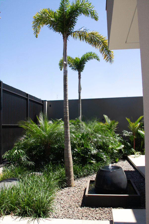 patricia malini paisagista 0000 img 0145