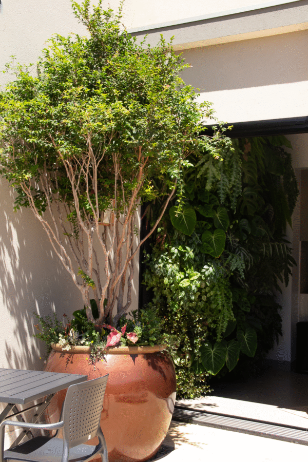 patricia malini paisagista 0001 img 0199