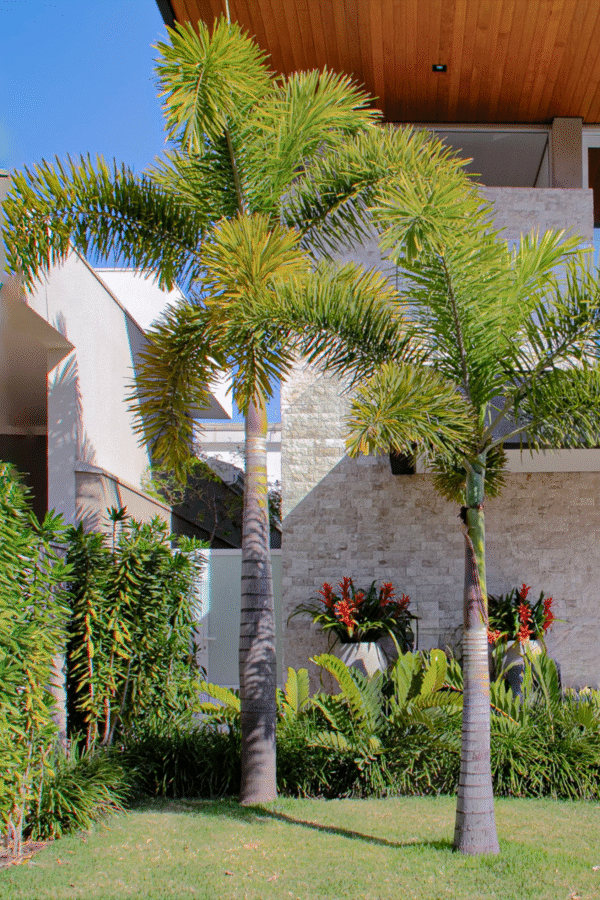 patricia malini paisagista 0001 img 9752