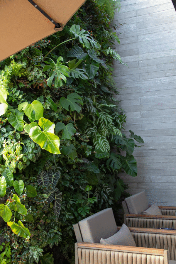 patricia malini paisagista 0002 img 9979