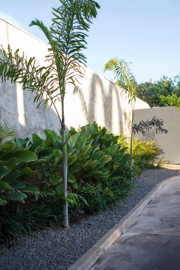 patricia malini paisagista 0004 img 0376 (1)