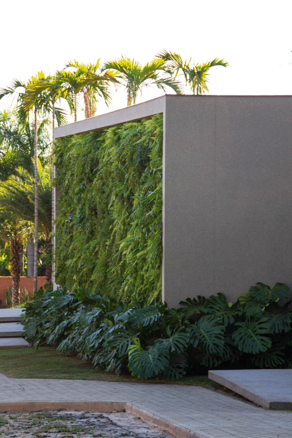 patricia malini paisagista 0005 img 0270