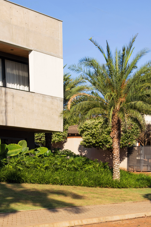 patricia malini paisagista 0007 img 0105 (1)